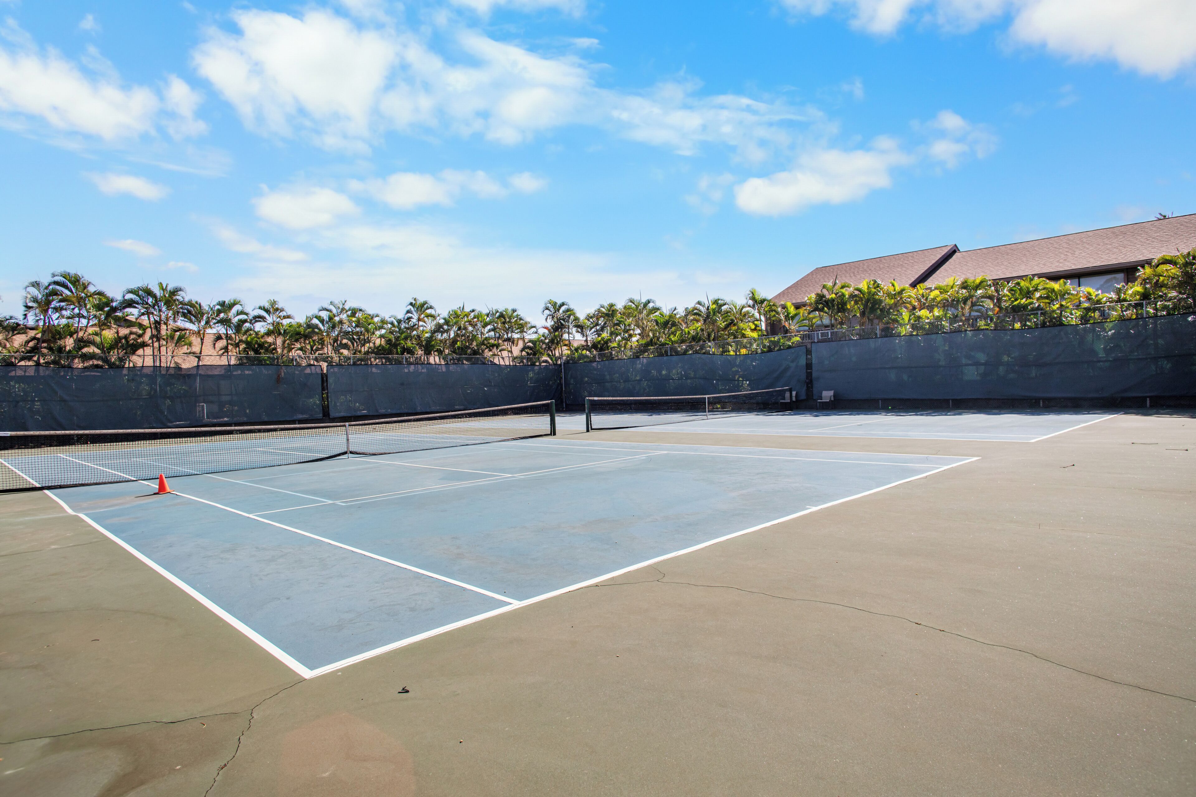 An outdoor tennis court with a net, surrounded by a low wall and palm trees.