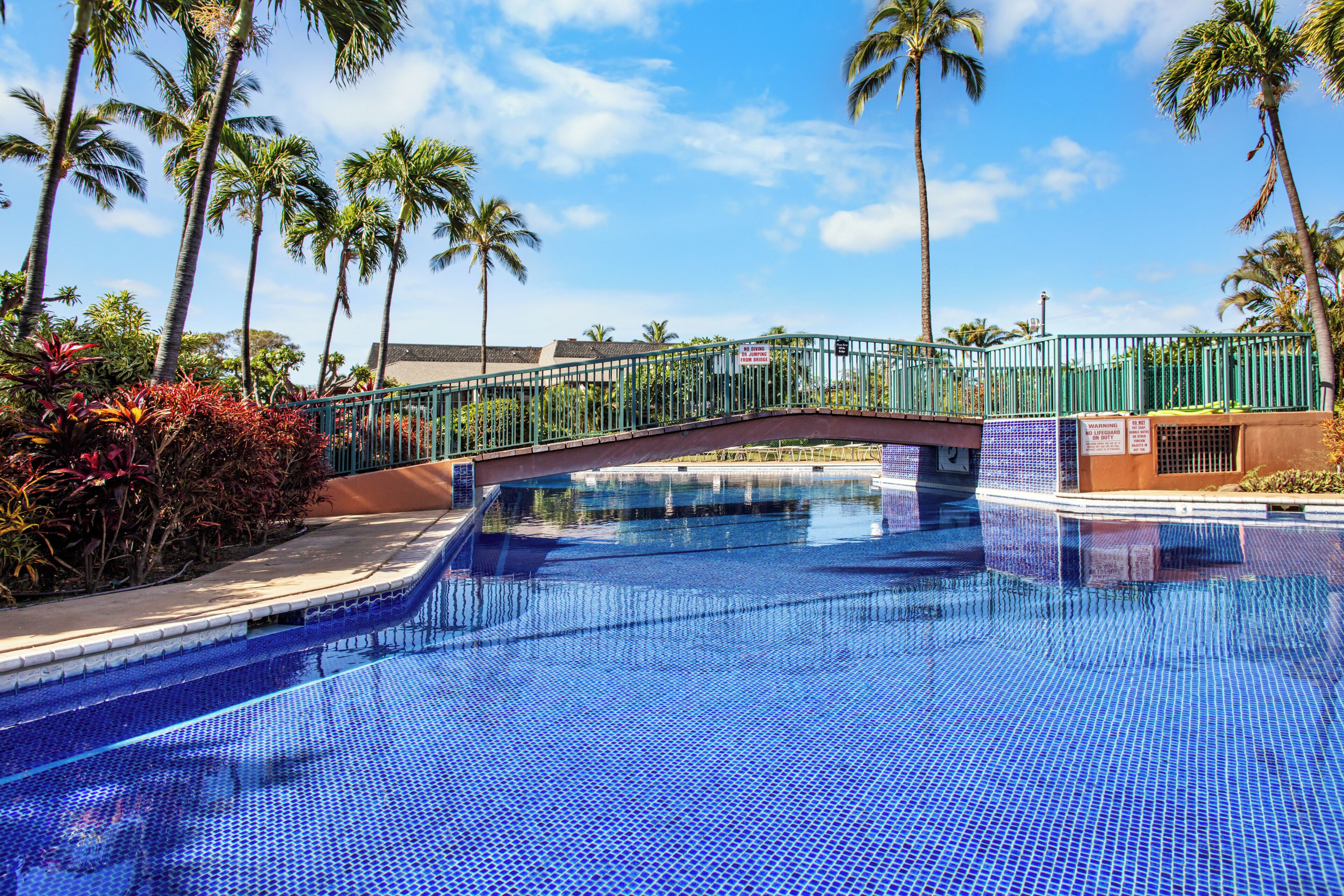 A swimming pool with a bridge, surrounded by palm trees and a clear sky.