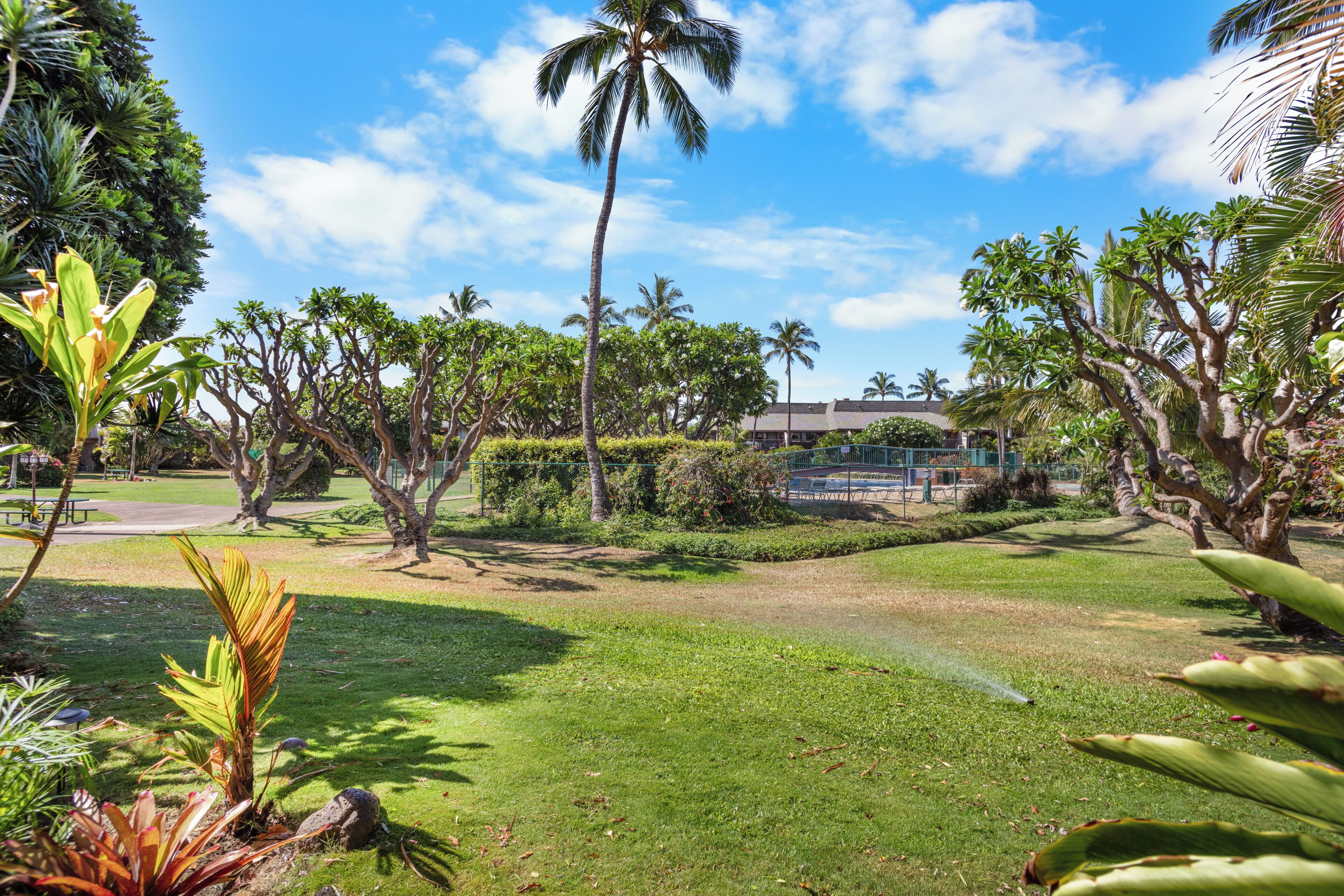 A lush garden with palm trees, a lawn, and a building in the background.