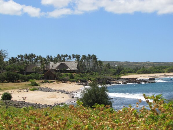 A coastal resort with thatched-roof buildings, a sandy beach, and palm trees.