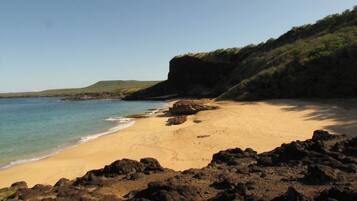 Sun-loungers, beach towels