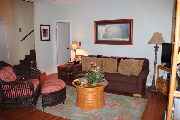 Smart TV, DVD player, books, music library
