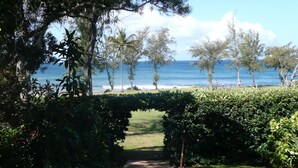 A pathway leading to a beach with trees and a clear view of the ocean.