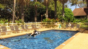 A swimming pool with a person on an inflatable orca float.