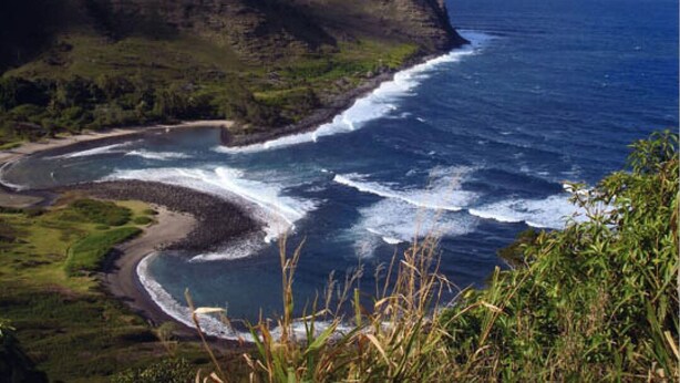 A coastal landscape with a cliff, ocean waves, and greenery.