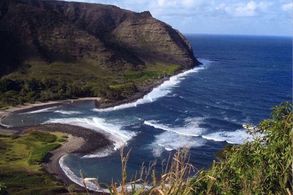 Sun loungers, beach towels