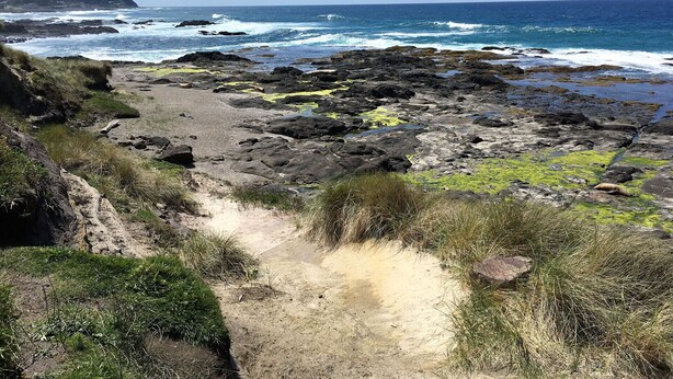 A rocky coastal path leading to the sea with a clear view of the ocean and a distant hill. - Single level home, near beach. Ultra clean. Great location -Walk to everything! (Yachats)