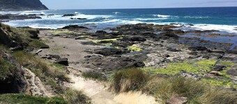 Single level home, near beach. Ultra clean. Great location -Walk to everything!