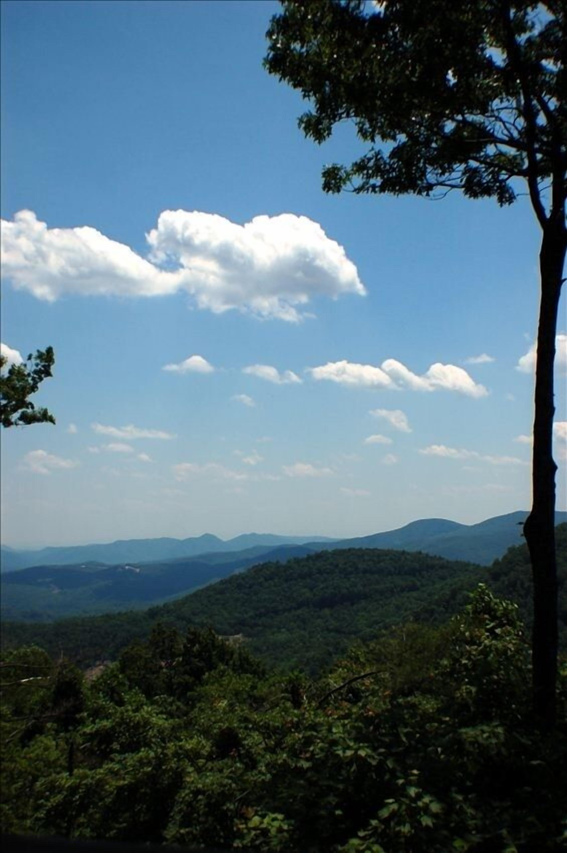 Frog Hollar's Heaven