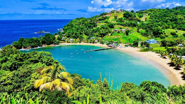 Un paysage côtier avec une plage, des eaux d’un bleu limpide et une végétation luxuriante.