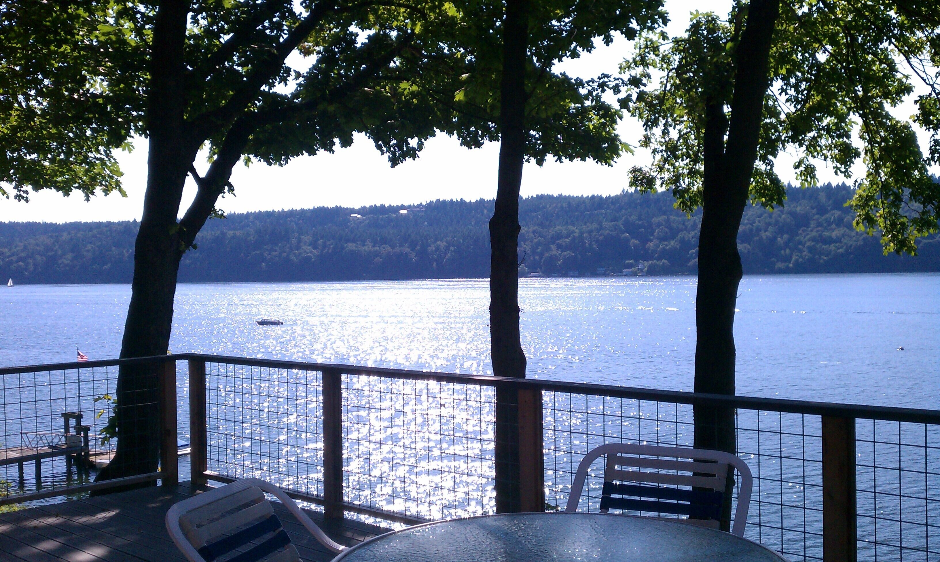 The cabin is built into a hill so it feels like you're perched in the trees.