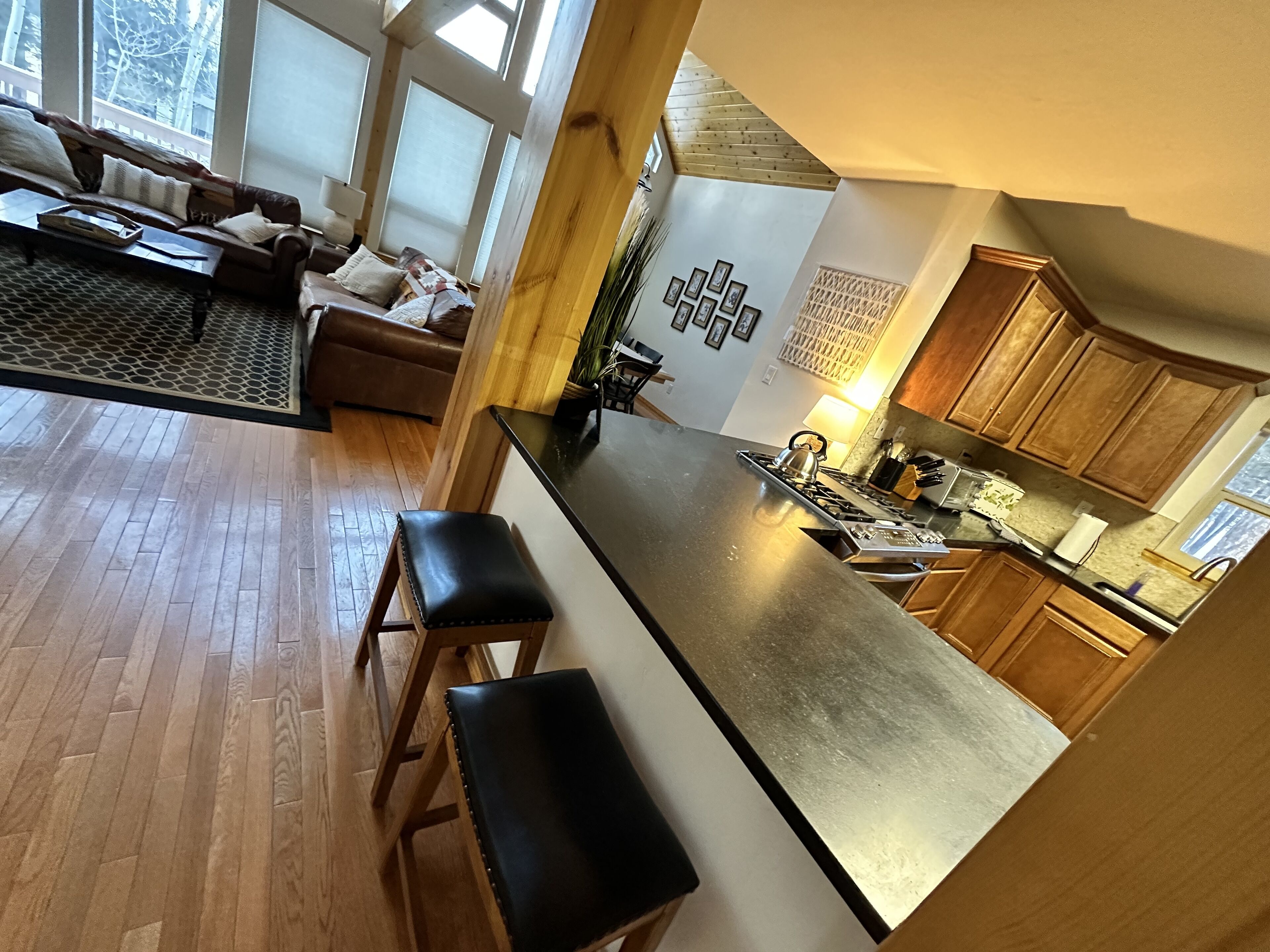 Ski-in, Ski-Out 4 Bedroom, 3.5 Bath Home - Sleeps 8-9. 