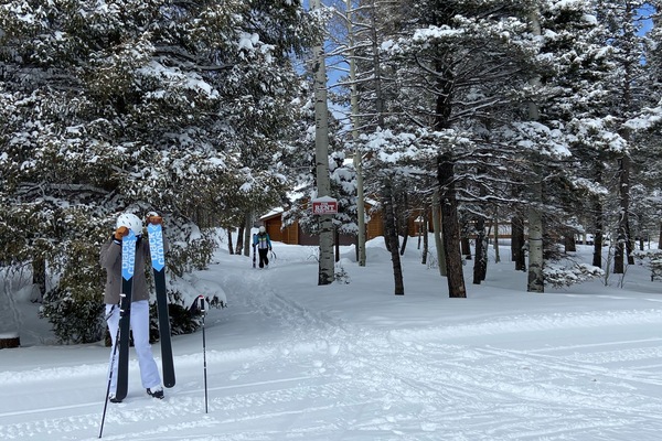 Deportes de invierno y ski