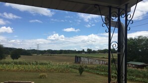 Un porche con vistas a un paisaje rural, que incluye campos, un cobertizo pequeño y líneas de electricidad a lo lejos.