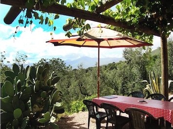 Pergola