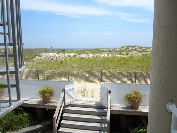 Property grounds - Oceanfront 12 Bedroom 8 Bathroom Amazing Home (Ocean City)