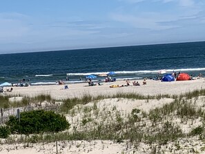 On the beach, sun-loungers - Oceanfront 12 Bedroom 8 Bathroom Amazing Home (Ocean City)