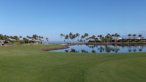 Un parcours de golf avec un plan d’eau qui reflète les palmiers et un ciel dégagé.