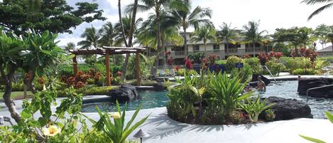 A tropical resort pool area with palm trees, a wooden pergola, and a sign indicating 'Kapo'.