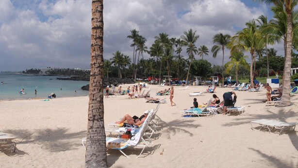 Ein Strand mit Palmen, klarem Wasser und badenden Personen.
