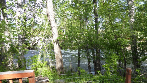 A wooden bench and a white table in a forested area with a view of a river.
