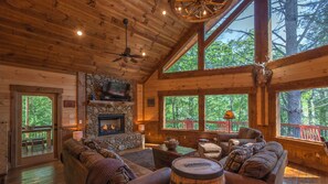 Télévision, cheminée, lecteur de DVD, chaîne hi-fi