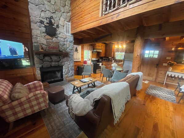 Télévision, cheminée, jeux vidéo, lecteur de DVD