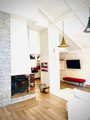 TV, fireplace, Netflix, streaming services