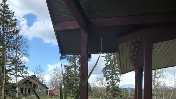 A covered outdoor area with a wooden deck, a potted plant with colorful polka dots, and a view of a house and trees in the background. - Modern Home Secluded in the Mountains With Breathtaking Views in Divide CO (Divide)