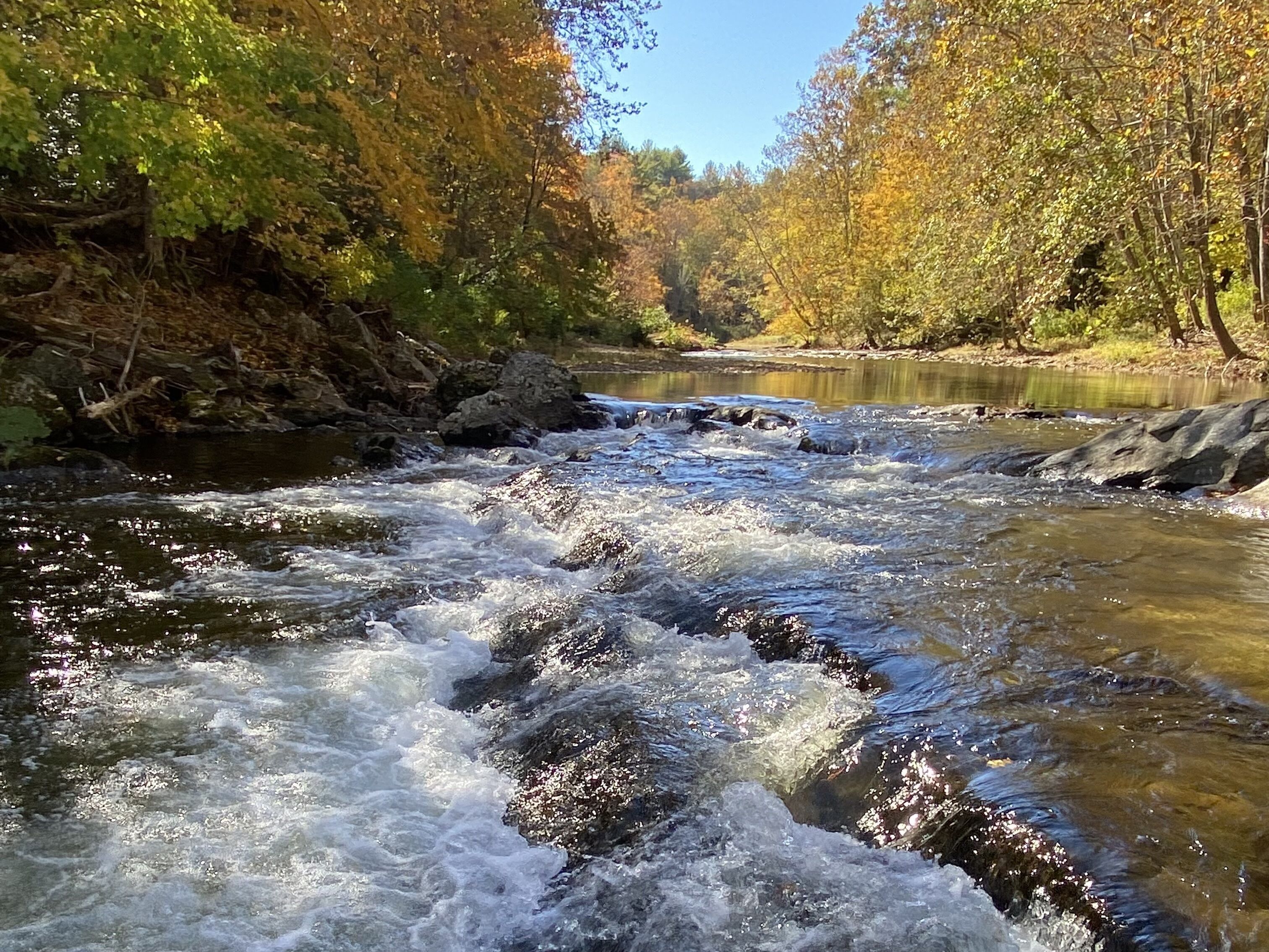 Cabin on the River, Fire Pit, Grill, Great Wi-Fi, Private, Swimming, Mtn Vistas