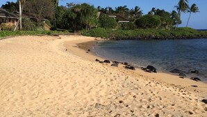 Ein sandiger Strand mit Fußspuren, Palmen und einem Haus im Hintergrund.