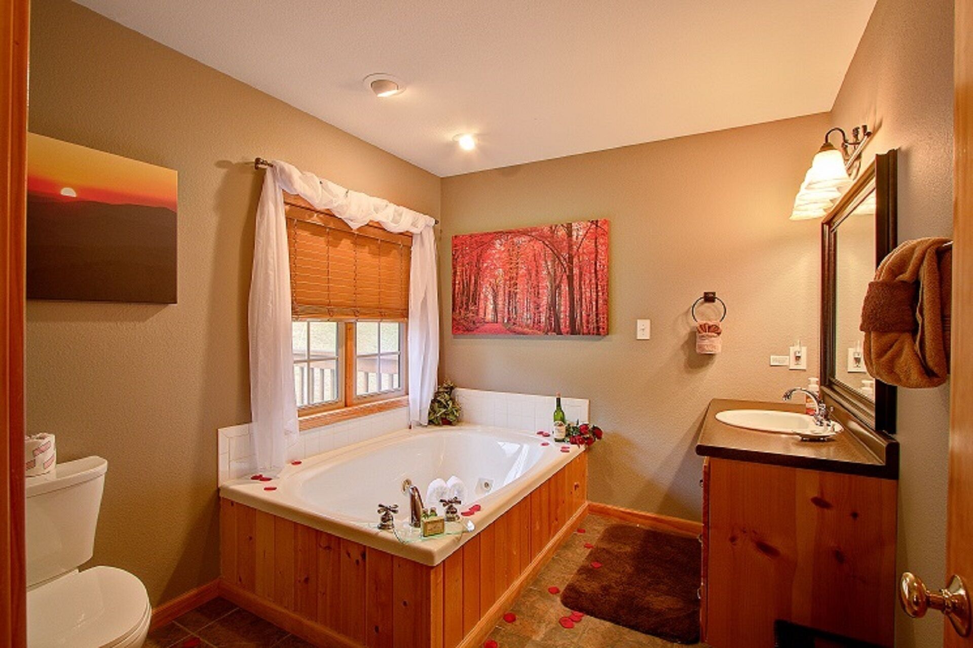 Moonbeams & Star Dreams... A Spectacular Mountain View