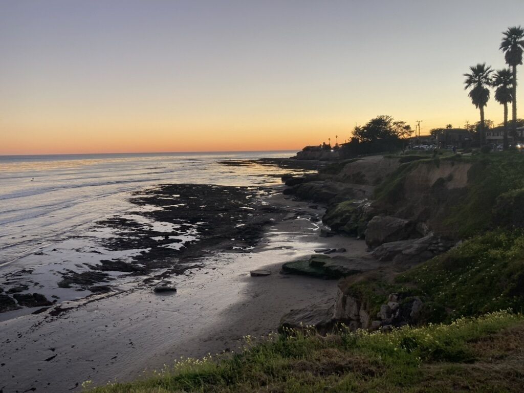 A coastal landscape with rocky shorelines, palm trees, and a clear sky.