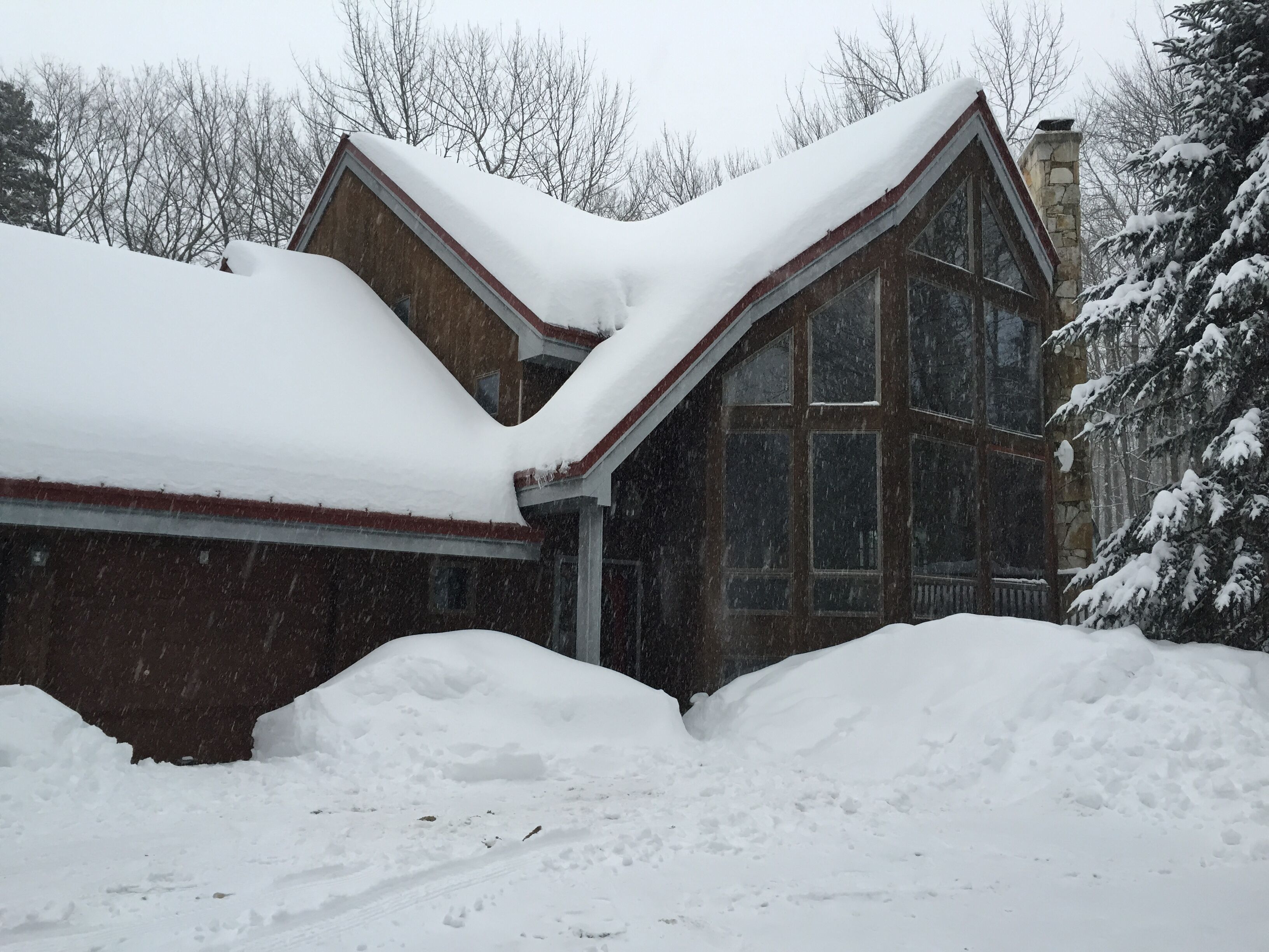 Luxurious Rustic Contemporary in Solitude