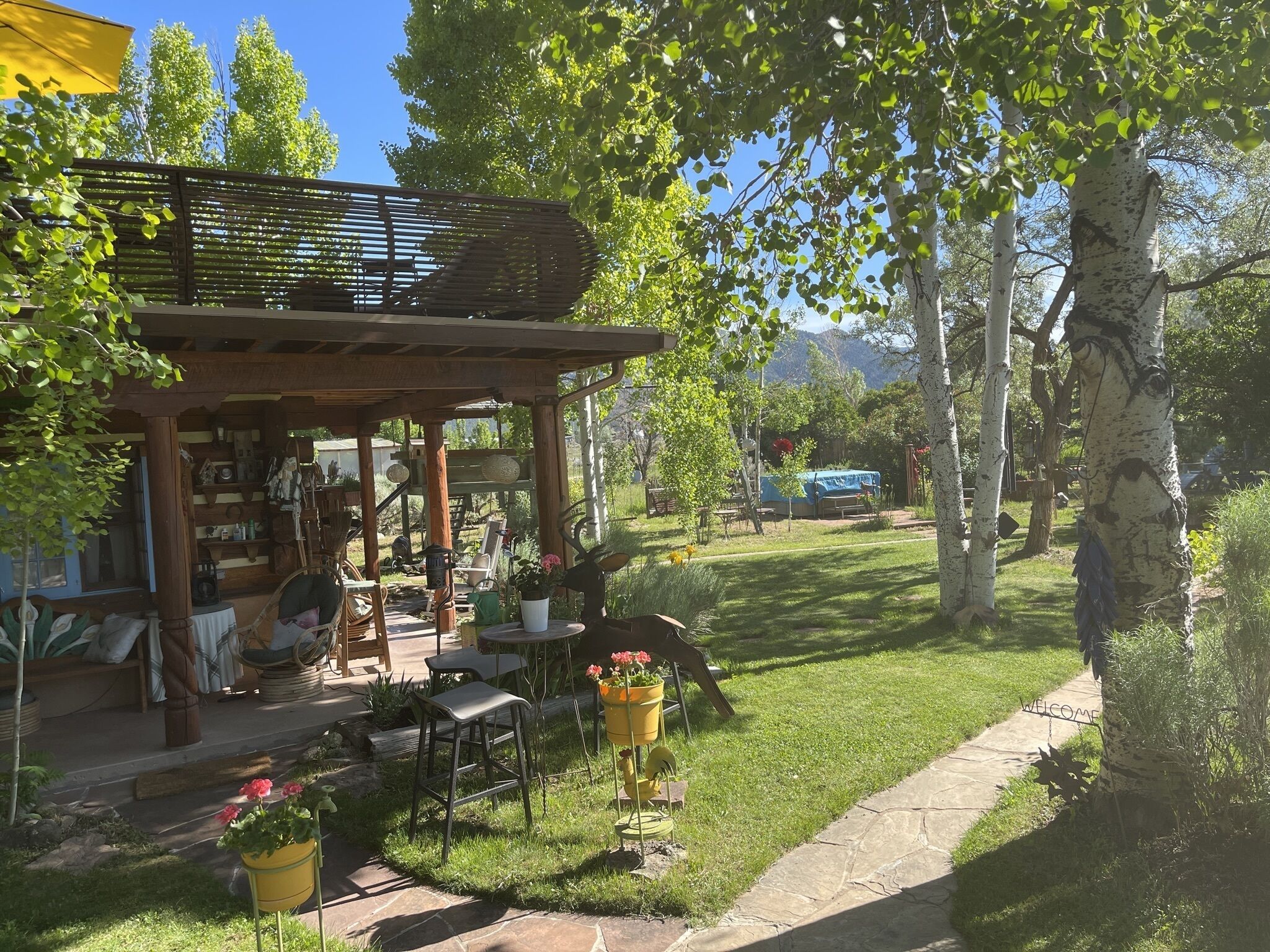 Un espace extérieur aménagé dans un style rustique, avec des meubles en bois et des plantes en pot, entouré de verdure et d’arbres.