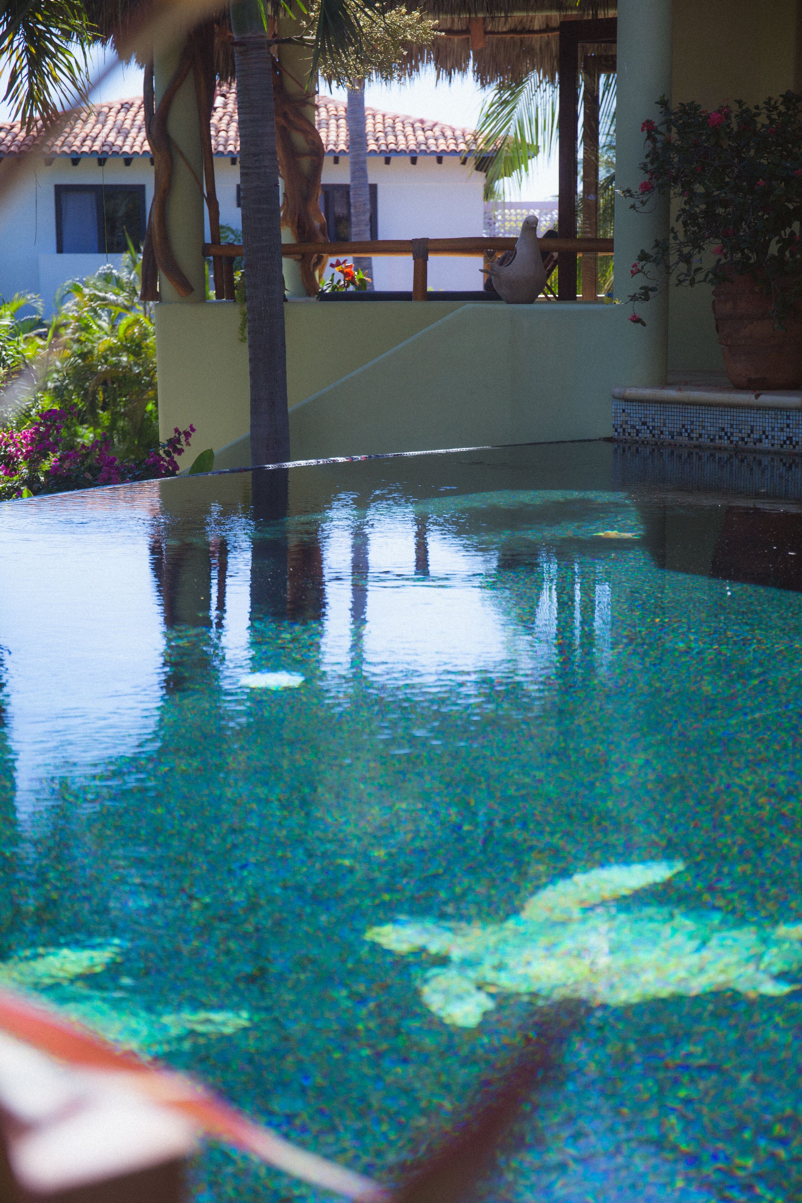 Beauty and the Beach!