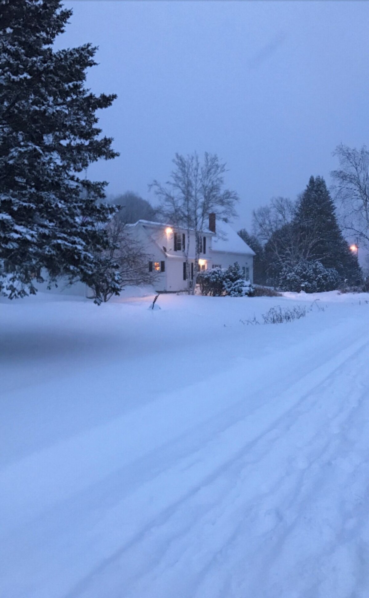 Imagen de perfil del propietario o de la propietaria