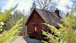 Une cabane en bois avec une porte rouge, entourée d’arbres.