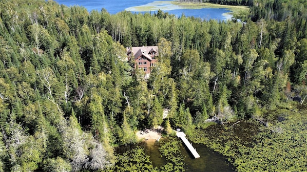 Ett skogsområde med en stuga omgiven av täta träd.