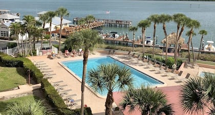 Vistas del agua! Recientemente renovado 5 º piso 1Br / 1Ba con vistas a la gran piscina y el río.