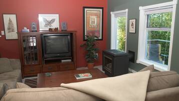 TV, lareira, DVD player, livros
