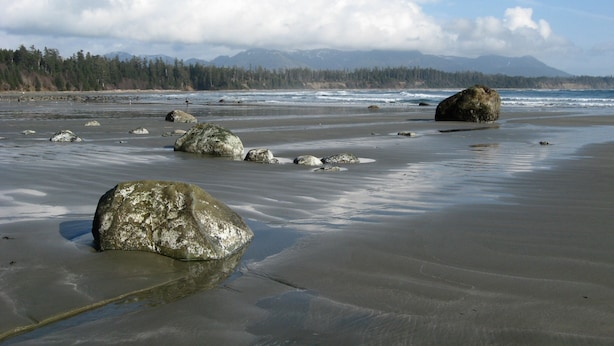 A beach with large rocks and a forest in the background.