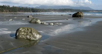 Romantic, pet-friendly waterfront suite; close to amenities, trails & beaches.