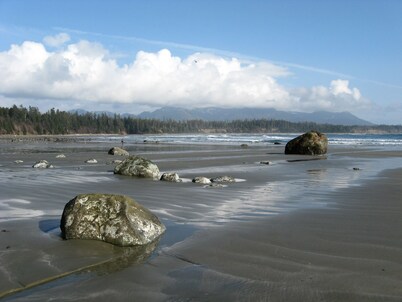 Romantic, pet-friendly waterfront suite; close to amenities, trails & beaches.