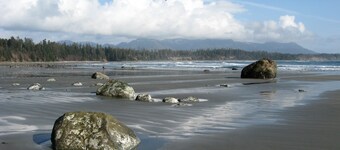 Romantic, pet-friendly waterfront suite; close to amenities, trails & beaches.