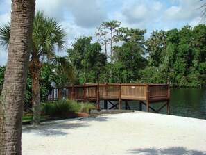 Property grounds - Stunning Disney Private Lake Front Villa, beautifully upgraded with games room (Kissimmee)
