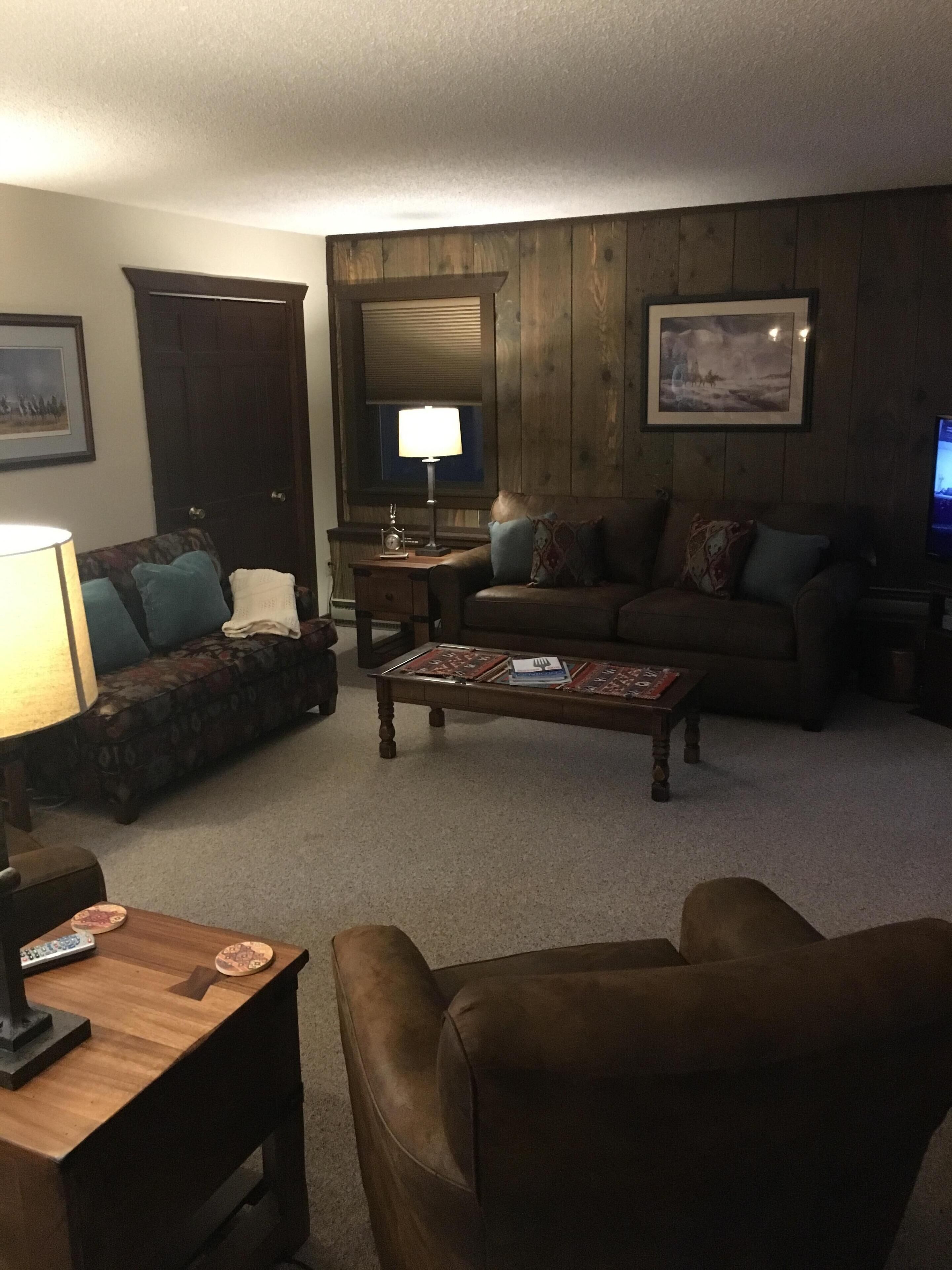 Great Ski & Winter rental close to lifts at Mt. Crested Butte!