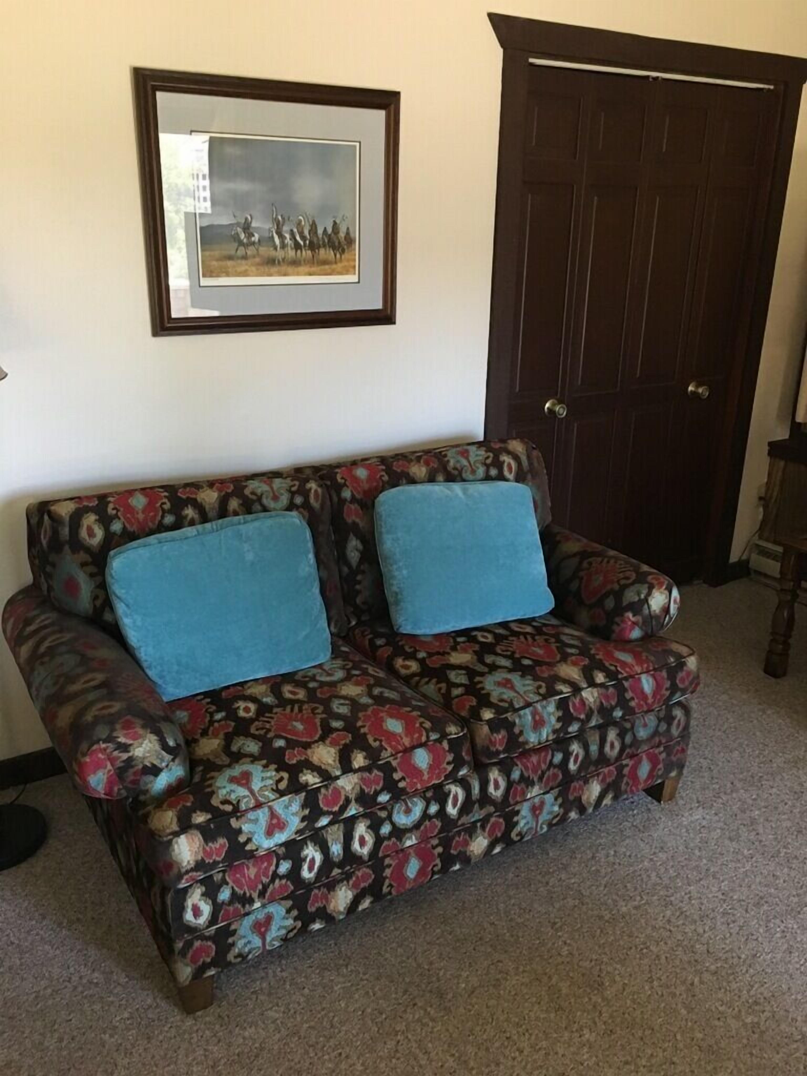 Great Ski & Winter rental close to lifts at Mt. Crested Butte!