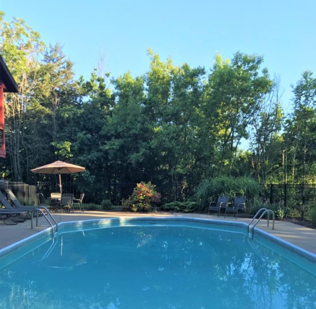 A swimming pool with a wooden deck, surrounded by lush greenery and trees.