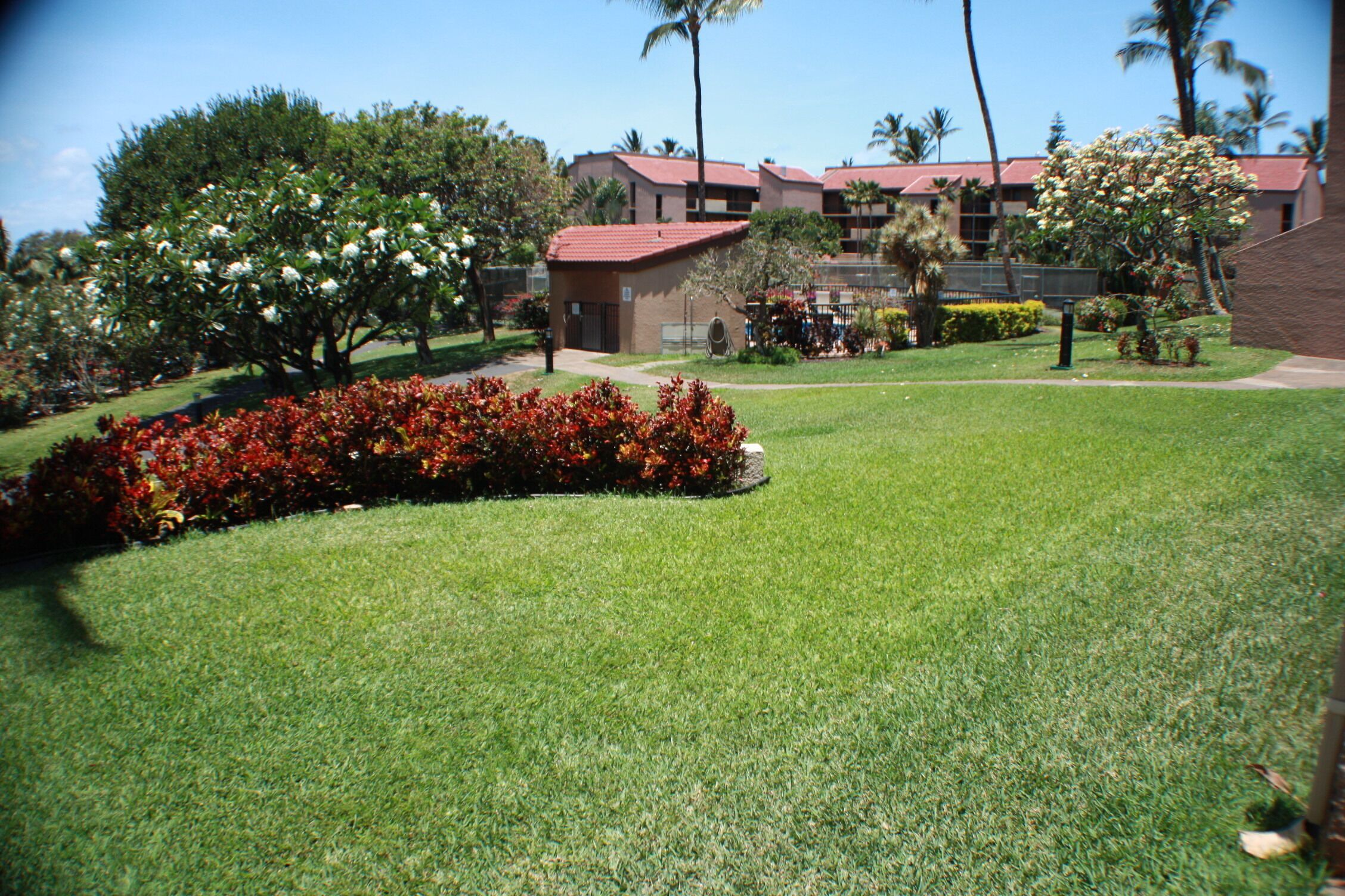 Lovely gardens to take a stroll and smell the plumeria's on the trees
